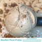 Pre-Order Pecan Jacks Ice Cream - Choose Your Own (6 Pints)