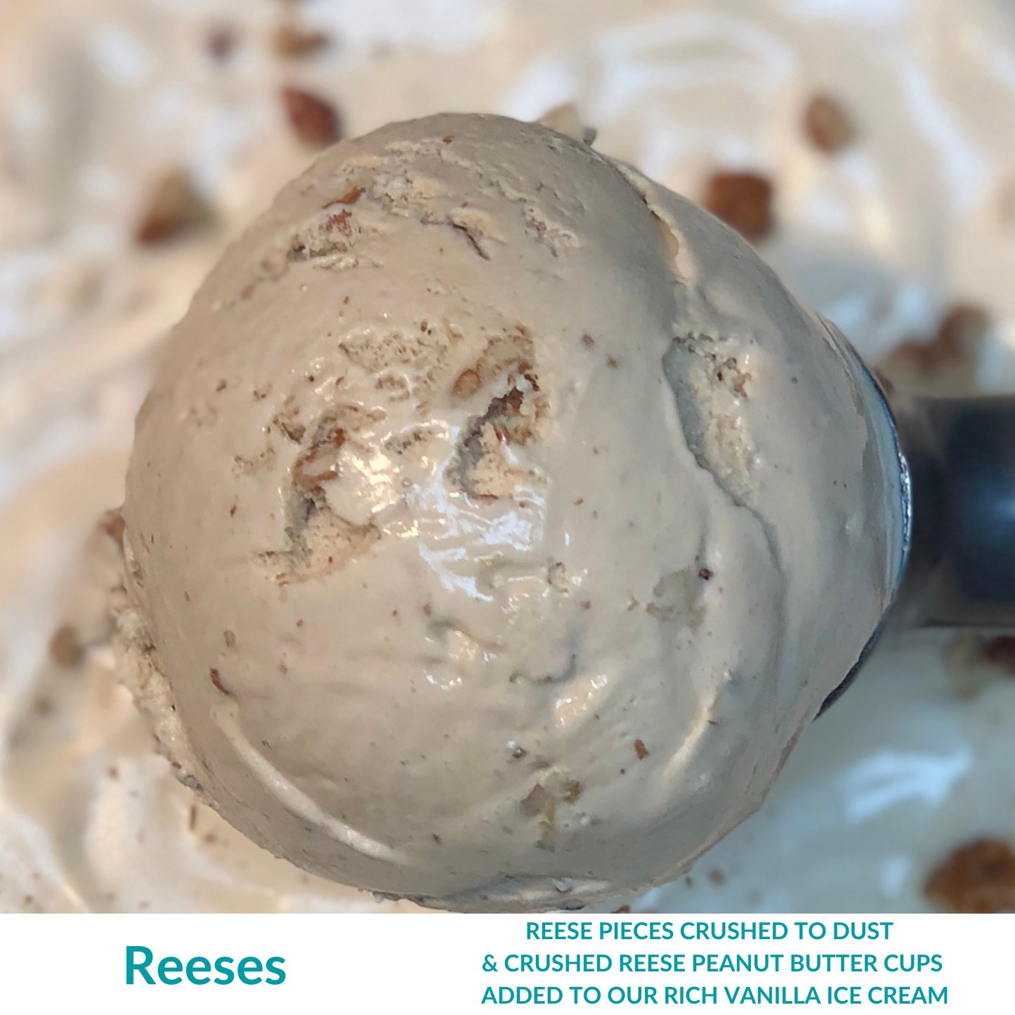 Pre-Order Pecan Jacks Ice Cream - Choose Your Own (6 Pints)